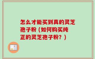 怎么才能买到真的灵芝孢子粉 (如何购买纯正的灵芝孢子粉？)