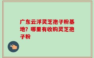 广东云浮灵芝孢子粉基地？哪里有收购灵芝孢子粉