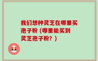 我们想种灵芝在哪里买孢子粉 (哪里能买到灵芝孢子粉？)