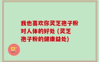 我也喜欢你灵芝孢子粉对人体的好处 (灵芝孢子粉的健康益处)