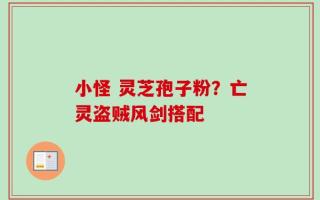 小怪 灵芝孢子粉？亡灵盗贼风剑搭配