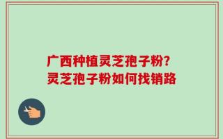 广西种植灵芝孢子粉？灵芝孢子粉如何找销路