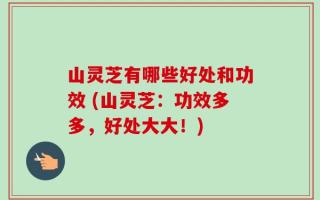 山灵芝有哪些好处和功效 (山灵芝：功效多多，好处大大！)