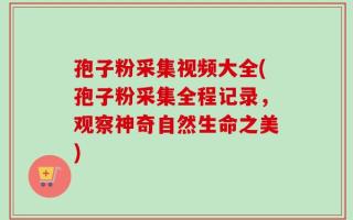 孢子粉采集视频大全(孢子粉采集全程记录，观察神奇自然生命之美)