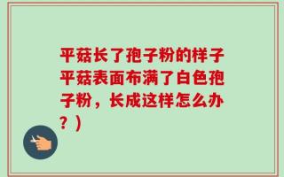 平菇长了孢子粉的样子平菇表面布满了白色孢子粉，长成这样怎么办？)