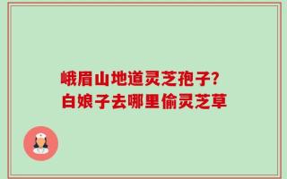 峨眉山地道灵芝孢子？白娘子去哪里偷灵芝草