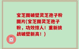 宝芝图破壁灵芝孢子粉图片(宝芝图灵芝孢子粉，功效惊人！重新挑战破壁新高！)