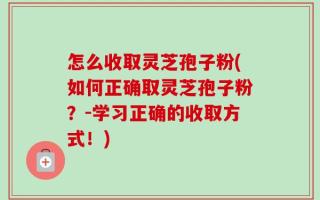怎么收取灵芝孢子粉(如何正确取灵芝孢子粉？-学习正确的收取方式！)