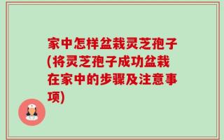 家中怎样盆栽灵芝孢子(将灵芝孢子成功盆栽在家中的步骤及注意事项)