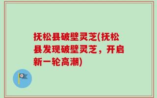 抚松县破壁灵芝(抚松县发现破壁灵芝，开启新一轮高潮)