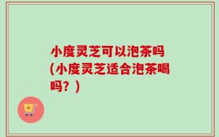 小度灵芝可以泡茶吗 (小度灵芝适合泡茶喝吗？)