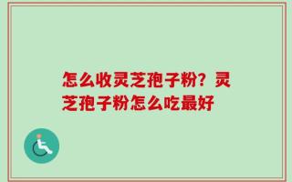 怎么收灵芝孢子粉？灵芝孢子粉怎么吃最好