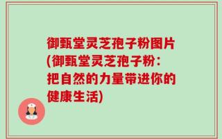御甄堂灵芝孢子粉图片(御甄堂灵芝孢子粉：把自然的力量带进你的健康生活)