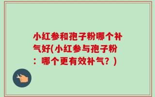 小红参和孢子粉哪个补气好(小红参与孢子粉：哪个更有效补气？)
