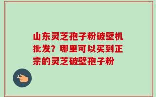 山东灵芝孢子粉破壁机批发？哪里可以买到正宗的灵芝破壁孢子粉