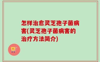 怎样治愈灵芝孢子菌病害(灵芝孢子菌病害的治疗方法简介)