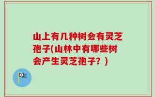 山上有几种树会有灵芝孢子(山林中有哪些树会产生灵芝孢子？)