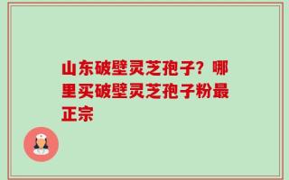 山东破壁灵芝孢子？哪里买破壁灵芝孢子粉最正宗
