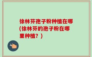 徐林芬孢子粉种植在哪(徐林芬的孢子粉在哪里种植？)