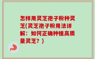 怎样用灵芝孢子粉种灵芝(灵芝孢子粉用法详解：如何正确种植高质量灵芝？)