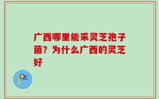 广西哪里能采灵芝孢子菌？为什么广西的灵芝好