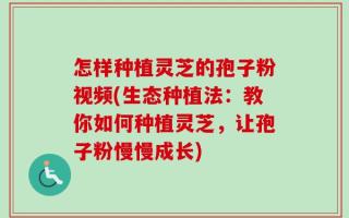 怎样种植灵芝的孢子粉视频(生态种植法：教你如何种植灵芝，让孢子粉慢慢成长)
