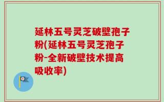 延林五号灵芝破壁孢子粉(延林五号灵芝孢子粉-全新破壁技术提高吸收率)