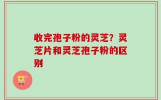 收完孢子粉的灵芝？灵芝片和灵芝孢子粉的区别