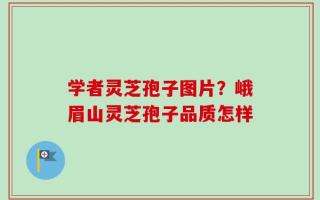 学者灵芝孢子图片？峨眉山灵芝孢子品质怎样