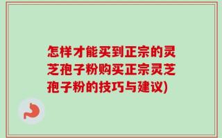 怎样才能买到正宗的灵芝孢子粉购买正宗灵芝孢子粉的技巧与建议)