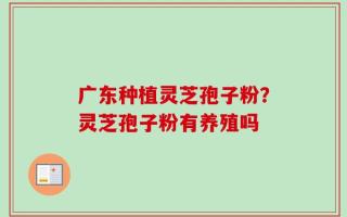 广东种植灵芝孢子粉？灵芝孢子粉有养殖吗