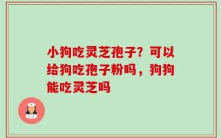小狗吃灵芝孢子？可以给狗吃孢子粉吗，狗狗能吃灵芝吗
