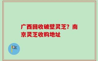 广西回收破壁灵芝？南京灵芝收购地址