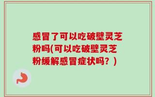 感冒了可以吃破壁灵芝粉吗(可以吃破壁灵芝粉缓解感冒症状吗？)