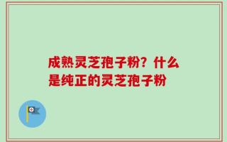 成熟灵芝孢子粉？什么是纯正的灵芝孢子粉
