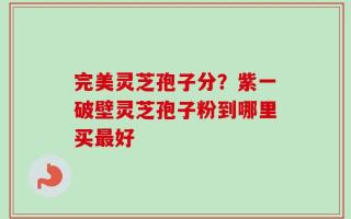 完美灵芝孢子分？紫一破壁灵芝孢子粉到哪里买最好