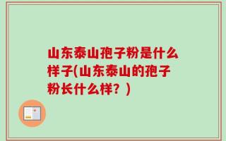 山东泰山孢子粉是什么样子(山东泰山的孢子粉长什么样？)