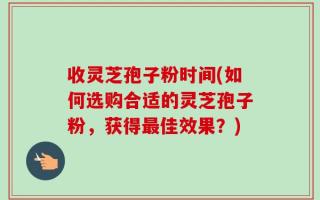 收灵芝孢子粉时间(如何选购合适的灵芝孢子粉，获得最佳效果？)