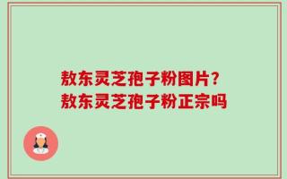 敖东灵芝孢子粉图片？敖东灵芝孢子粉正宗吗