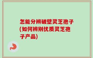 怎能分辨破壁灵芝孢子(如何辨别优质灵芝孢子产品)