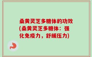 桑黄灵芝多糖体的功效(桑黄灵芝多糖体：强化免疫力，舒缓压力)