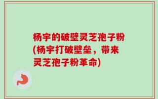 杨宇的破壁灵芝孢子粉(杨宇打破壁垒，带来灵芝孢子粉革命)
