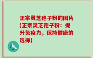 正宗灵芝孢子粉的图片(正宗灵芝孢子粉：提升免疫力，保持健康的选择)