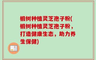 椴树种植灵芝孢子粉(椴树种植灵芝孢子粉，打造健康生态，助力养生保健)