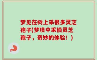 梦见在树上采很多灵芝孢子(梦境中采摘灵芝孢子，奇妙的体验！)