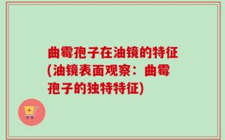 曲霉孢子在油镜的特征(油镜表面观察：曲霉孢子的独特特征)