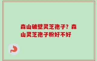 森山破壁灵芝孢子？森山灵芝孢子粉好不好