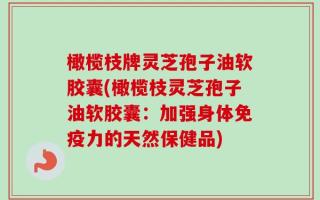 橄榄枝牌灵芝孢子油软胶囊(橄榄枝灵芝孢子油软胶囊：加强身体免疫力的天然保健品)