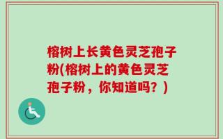 榕树上长黄色灵芝孢子粉(榕树上的黄色灵芝孢子粉，你知道吗？)