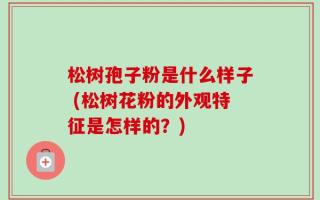 松树孢子粉是什么样子 (松树花粉的外观特征是怎样的？)